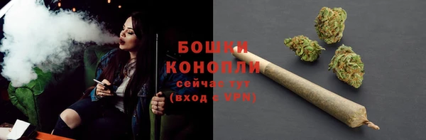 меф Майский