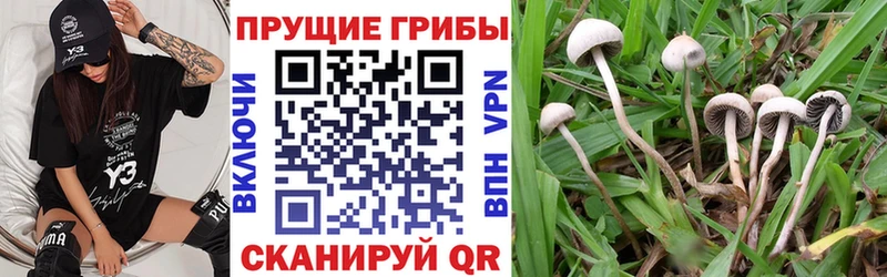 что такое наркотик  Дмитриев  Псилоцибиновые грибы мухоморы 